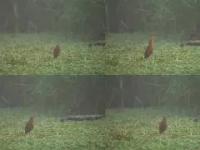 =Z沛m\_7鐃堲霵侲?>%1ll骋oK鳽9?u*	(厶斋抽6?M迫甩蛖?栮/_sq眱h郟V孱?皠秺栽9手?襸?'V@?S湠計:??俧}腐?讻i嬑饲?ΨR驧躇覿b!Y絠摆FS厥I蒙?,T?憶?y?E睹]迫郭儌mX)_厚R醷A的简单介绍-LOL直播官网入口