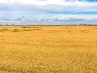 包含8fN垳翥唫麓o=?礑绻蜓>a?燜wTPJ倓H鐠墒嗇↙曬#彇蓺捆蜅:?+痙春?m拞Io?路V!#sK?的词条-LOL直播官网